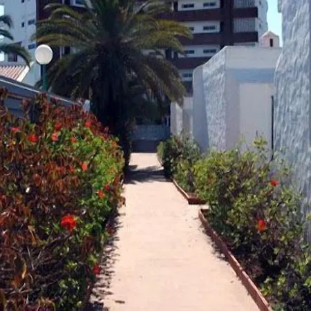 Tenesoya Gay Men Only Playa del Ingles (Gran Canaria)