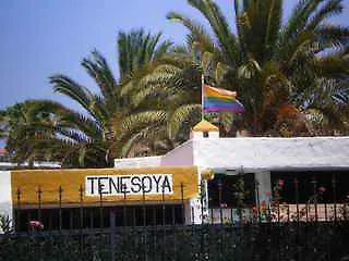 Tenesoya Gay Men Only Resort Playa del Ingles (Gran Canaria)